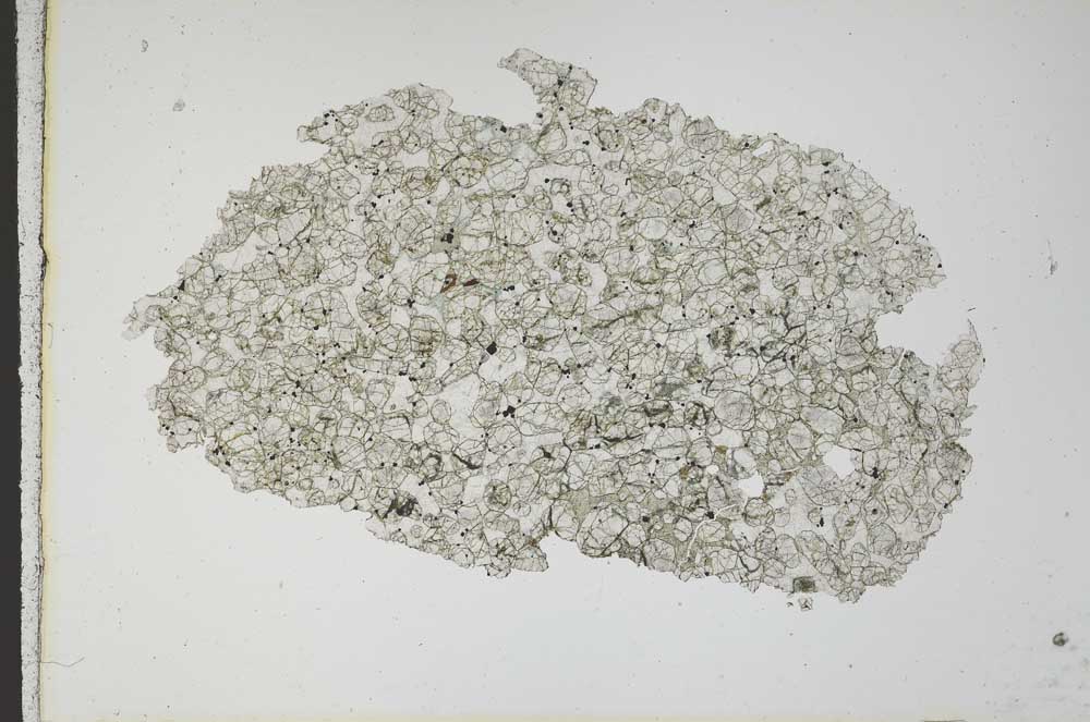 Plane Polarized, S10455