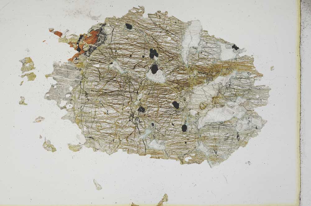 Plane Polarized, S10456