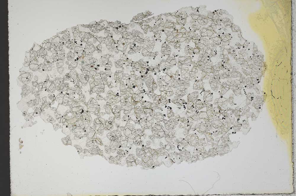 Plane Polarized, S10457