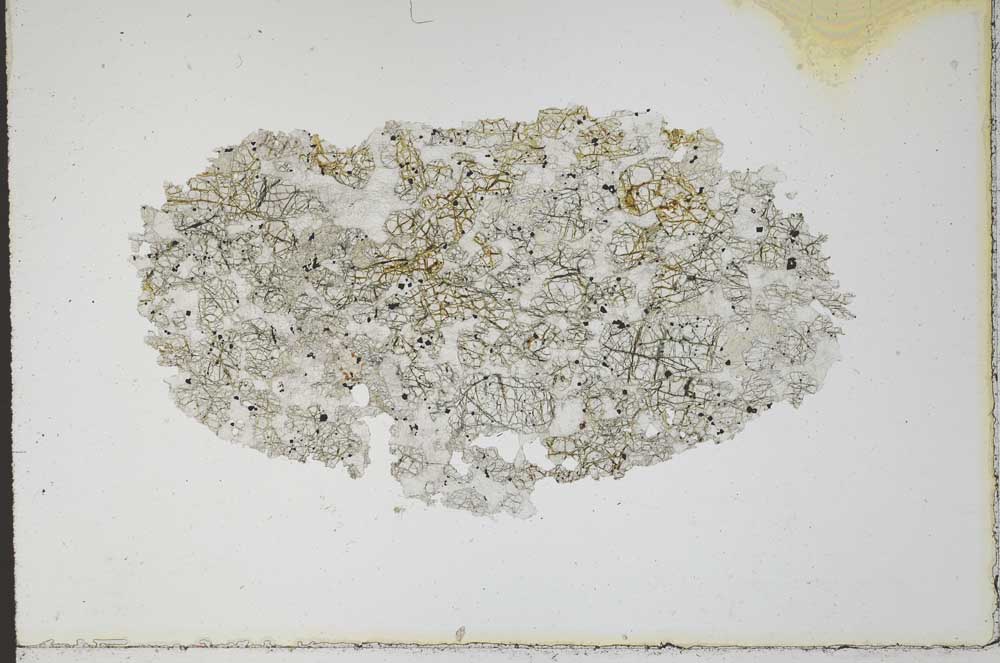 Plane Polarized, S10458