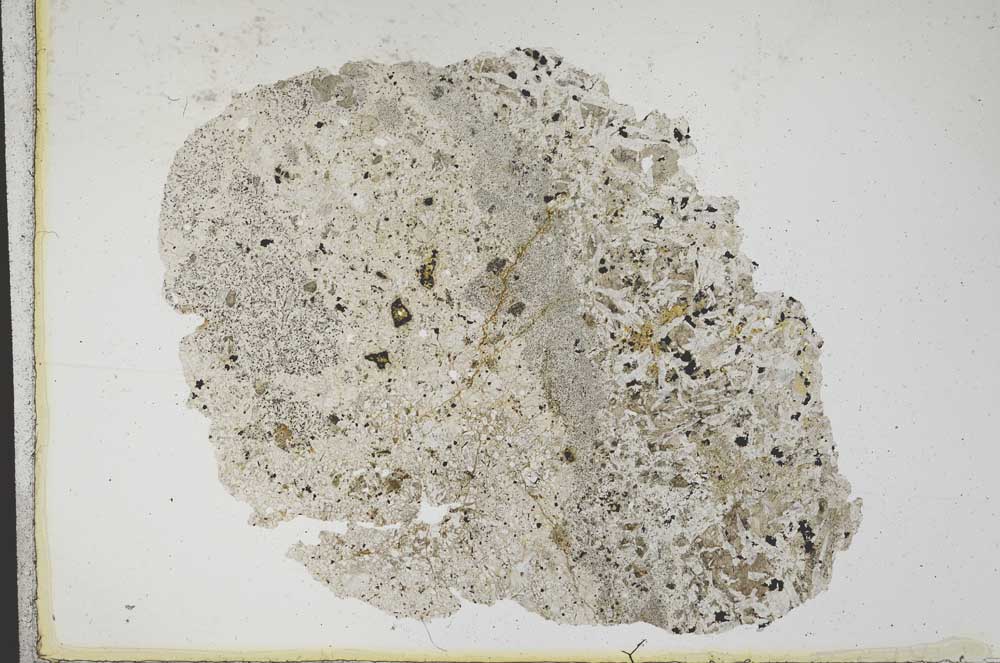 Plane Polarized, S10460