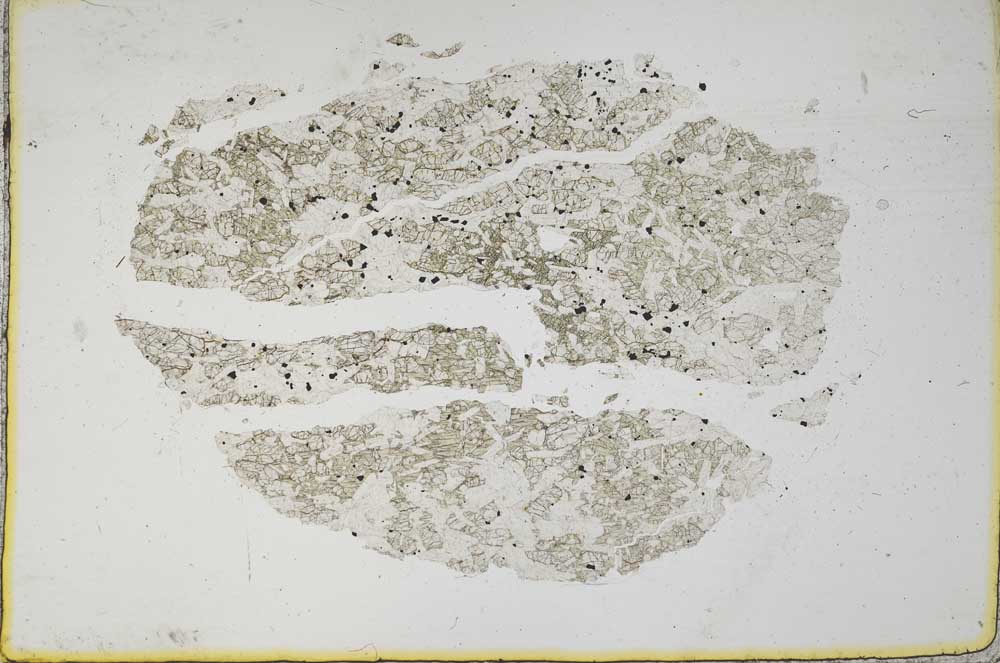 Plane Polarized, S10466