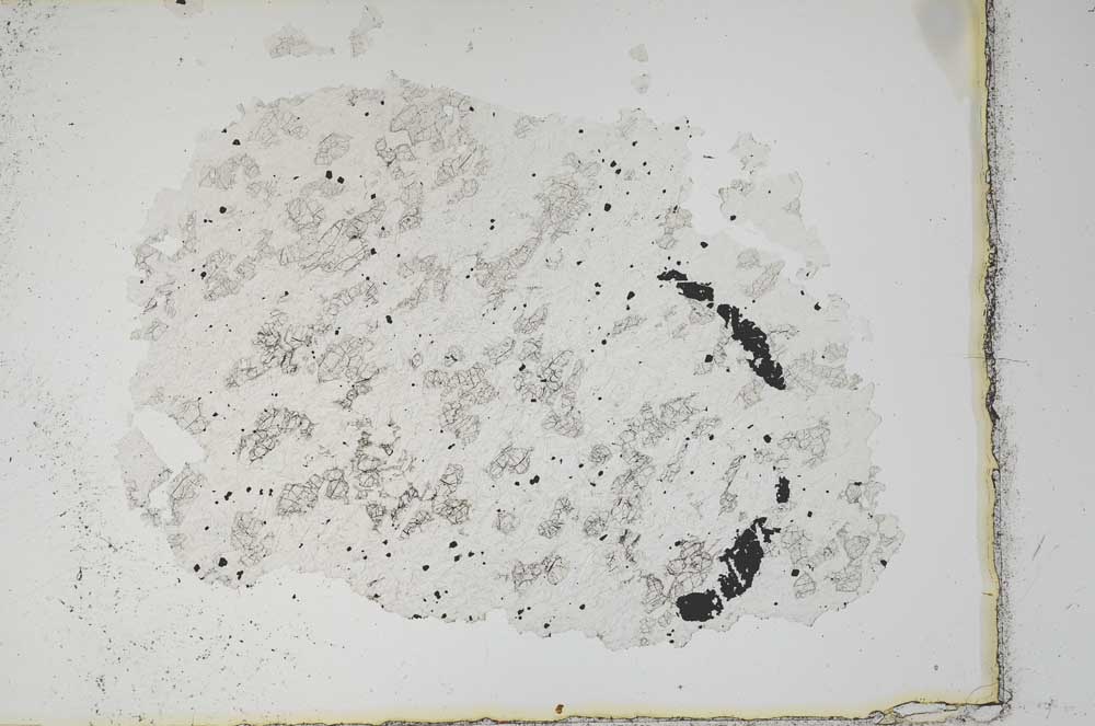 Plane Polarized, S10467