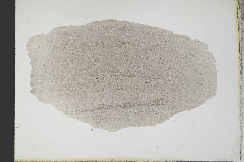 Plane Polarized, S10484