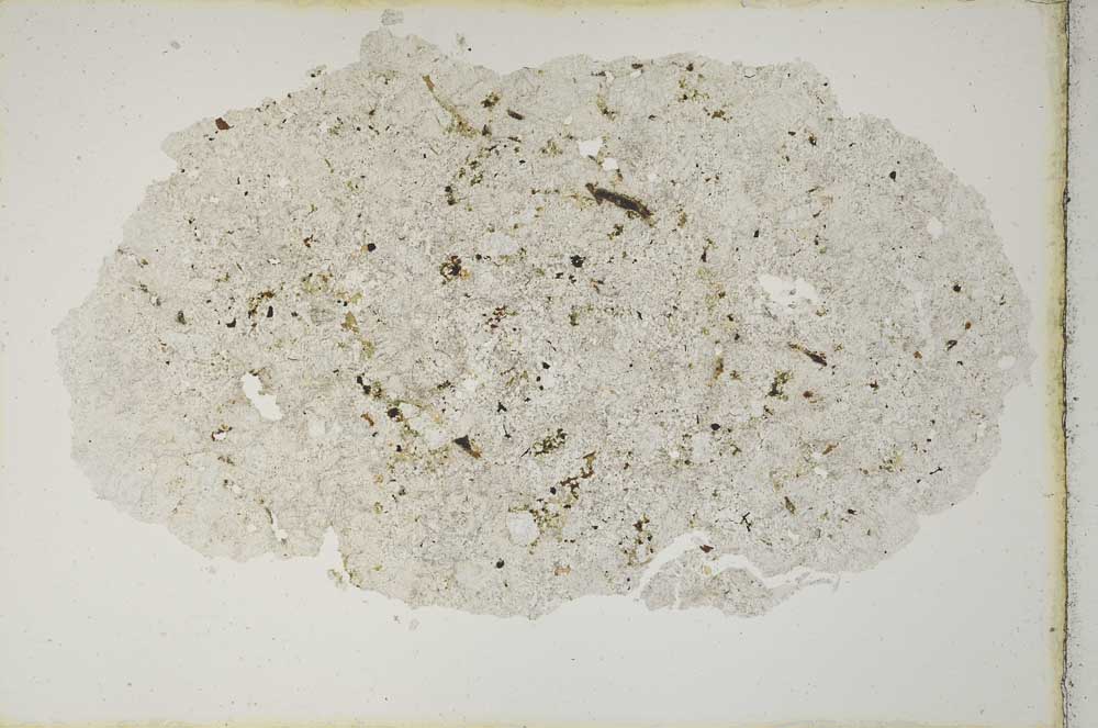 Plane Polarized, S10492