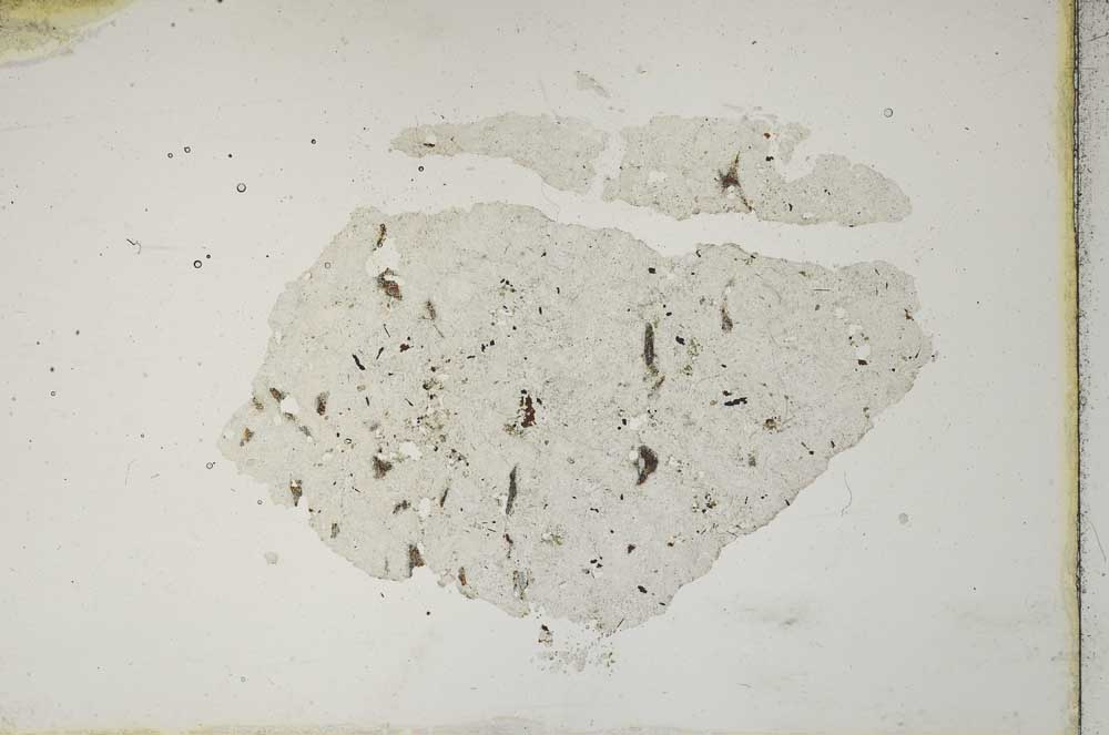 Plane Polarized, S10493