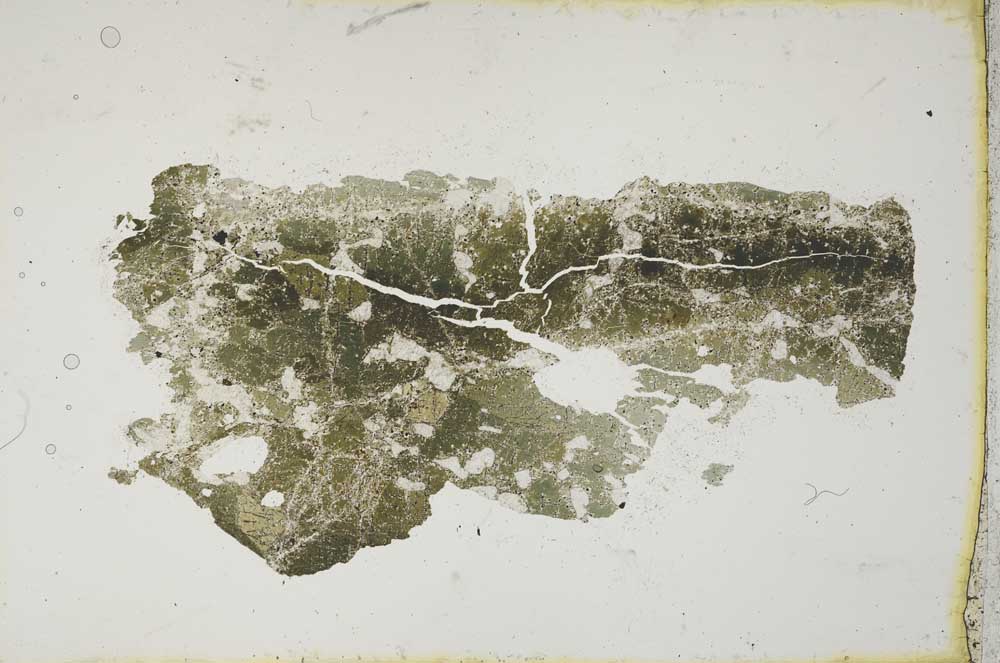 Plane Polarized, S10495