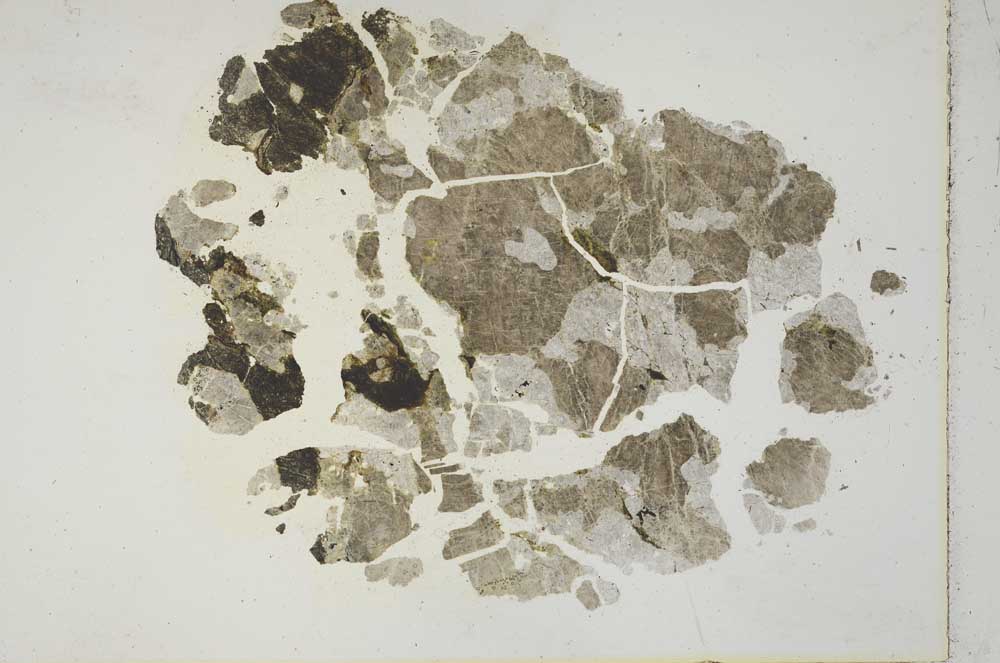 Plane Polarized, S10497