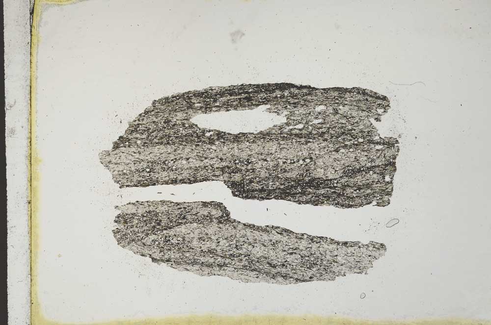 Plane Polarized, S10498