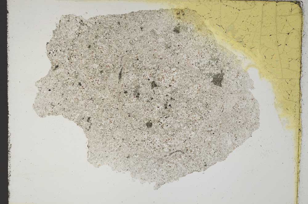 Plane Polarized, S10499