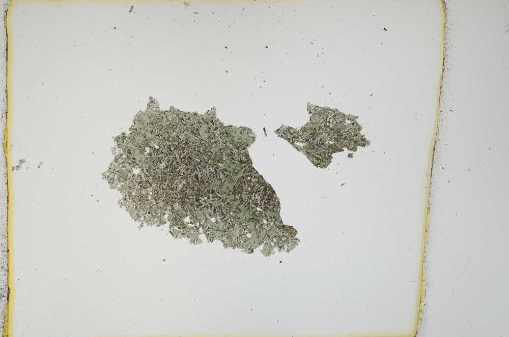 Plane Polarized, S1053