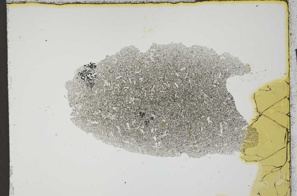 Plane Polarized, S1079