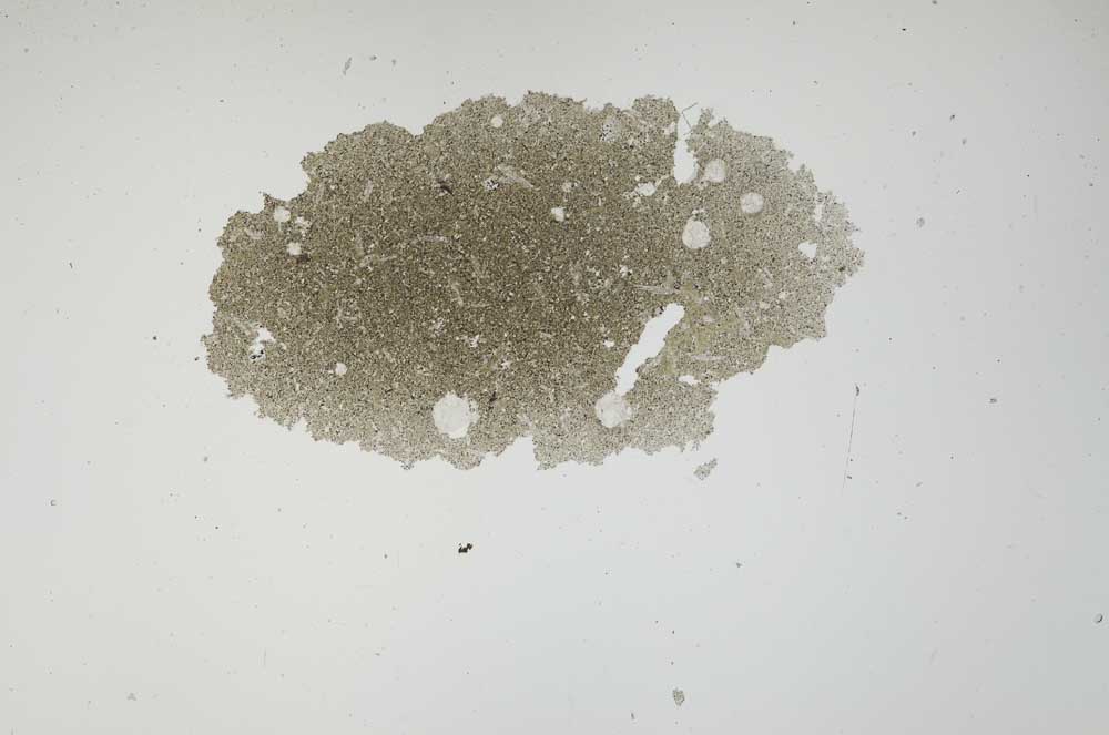 Plane Polarized, S1083