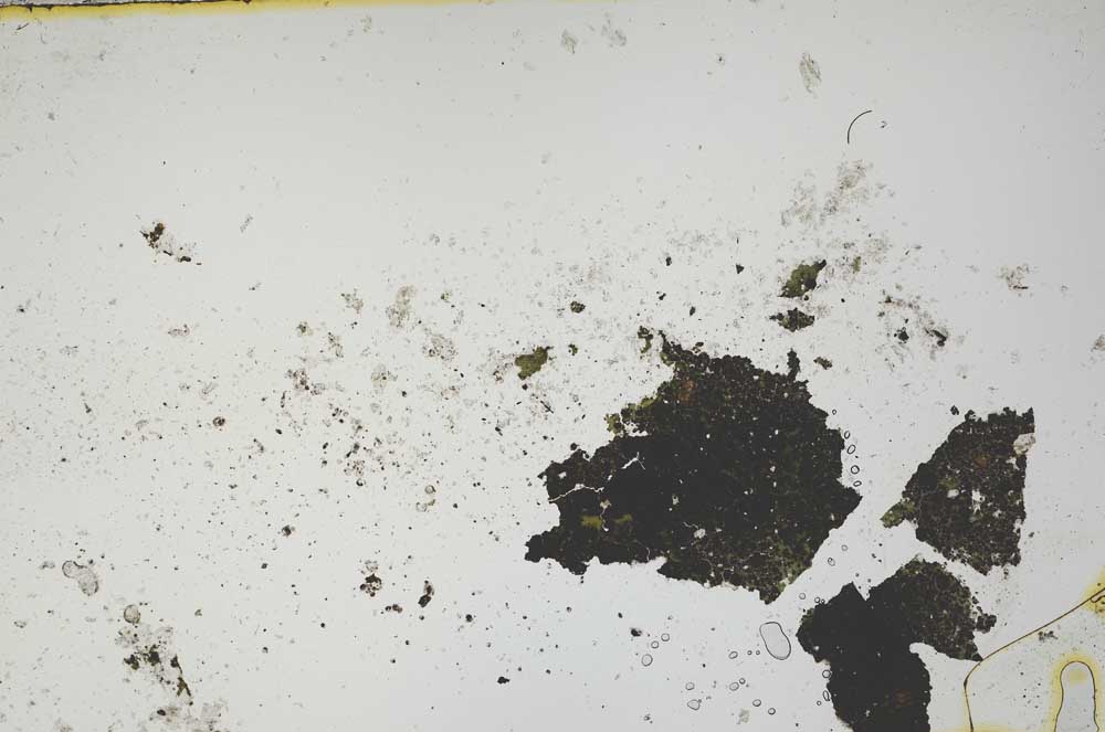 Plane Polarized, S1090