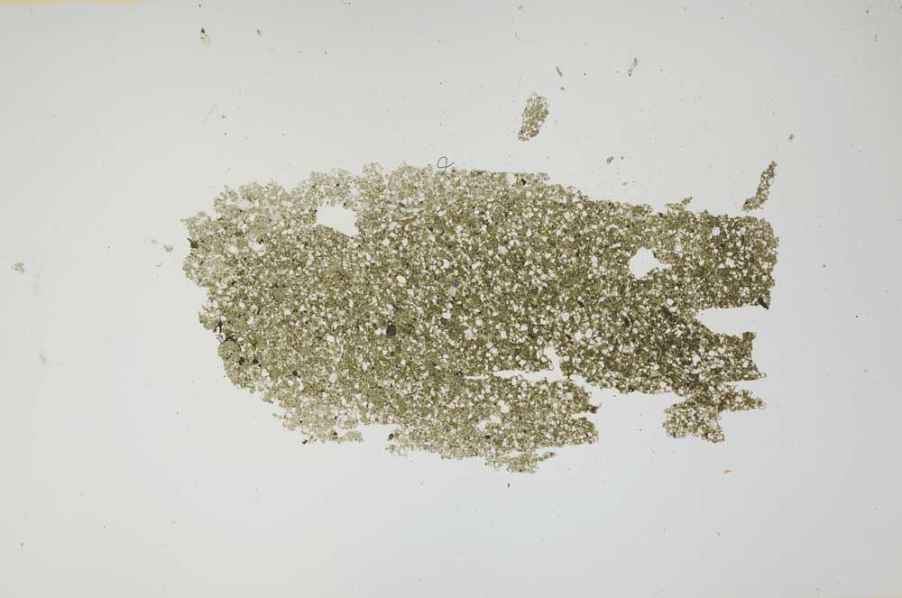 Plane Polarized, S1096