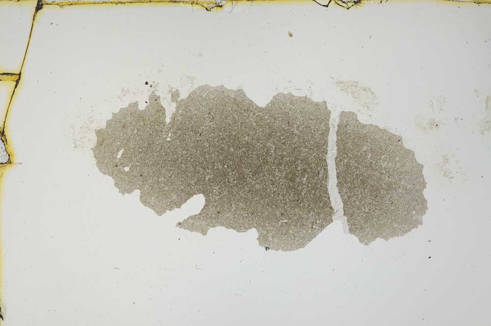 Plane Polarized, S1098