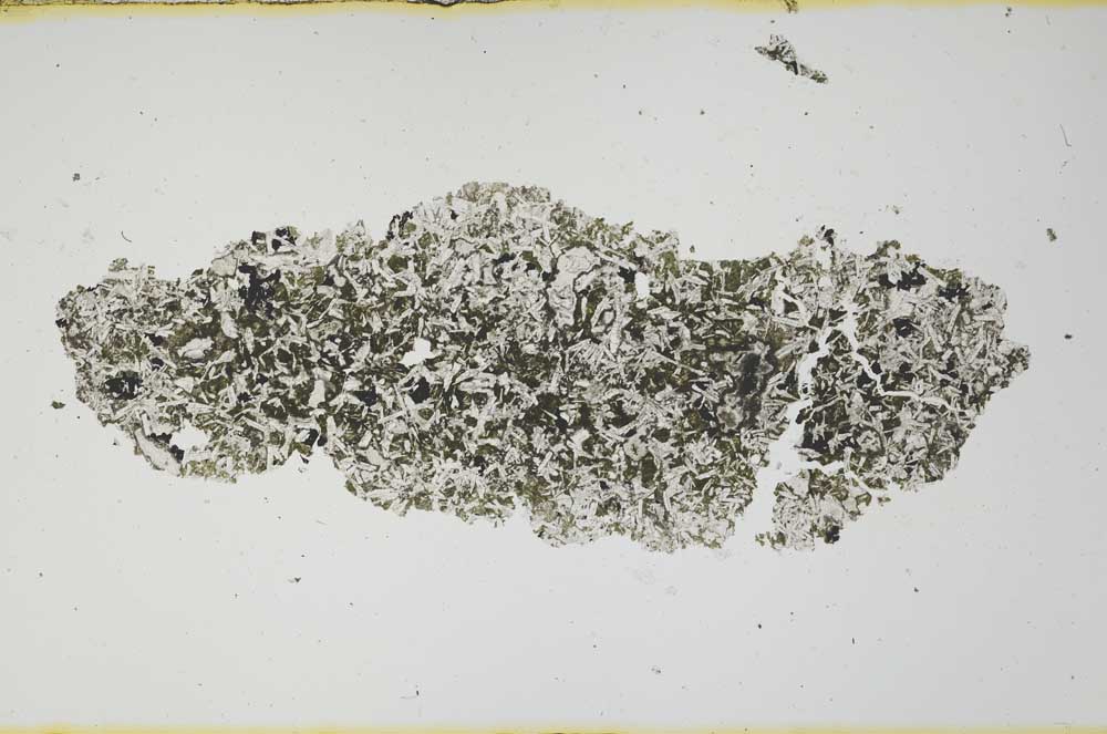 Plane Polarized, S1101