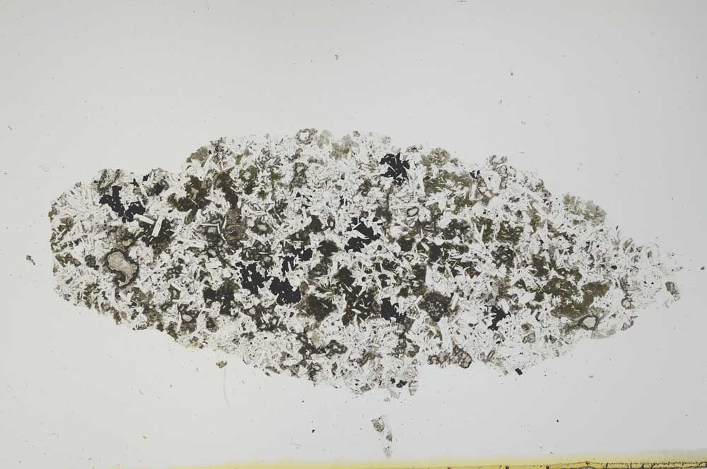 Plane Polarized, S1102