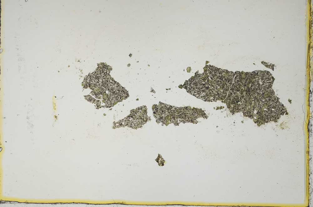 Plane Polarized, S1121