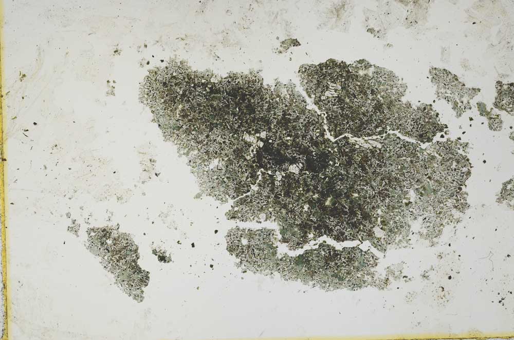 Plane Polarized, S1122