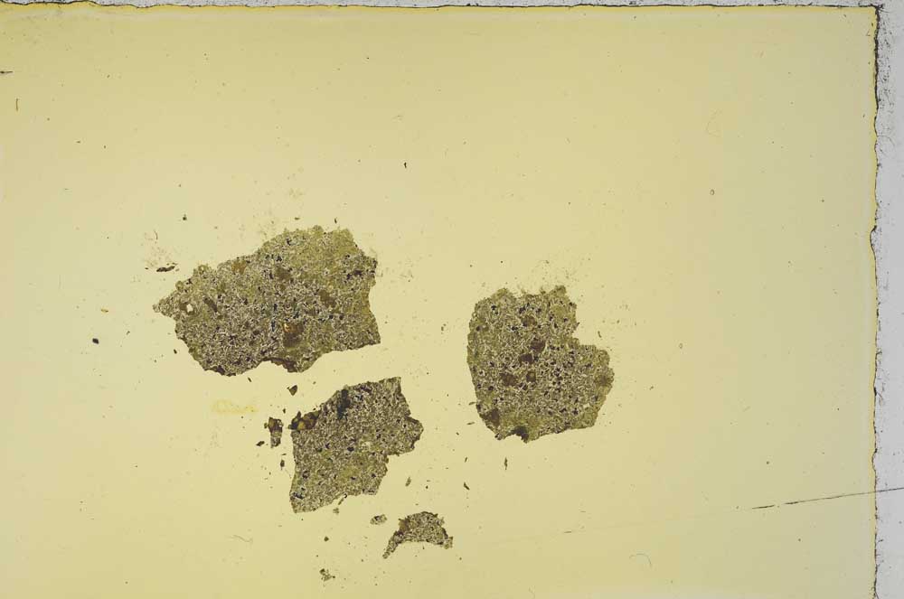 Plane Polarized, S1124