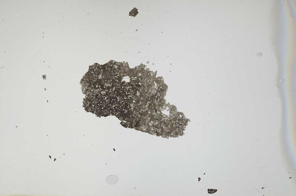 Plane Polarized, S1135
