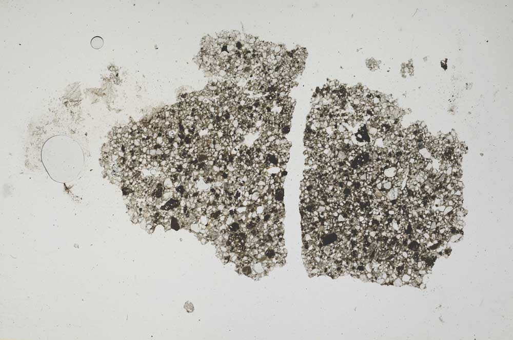 Plane Polarized, S1141