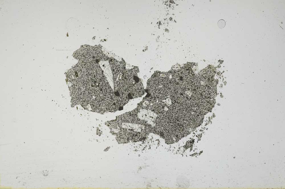 Plane Polarized, S1143