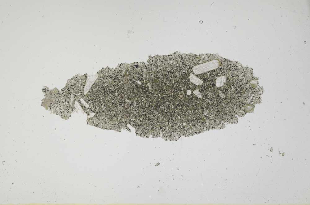 Plane Polarized, S1148