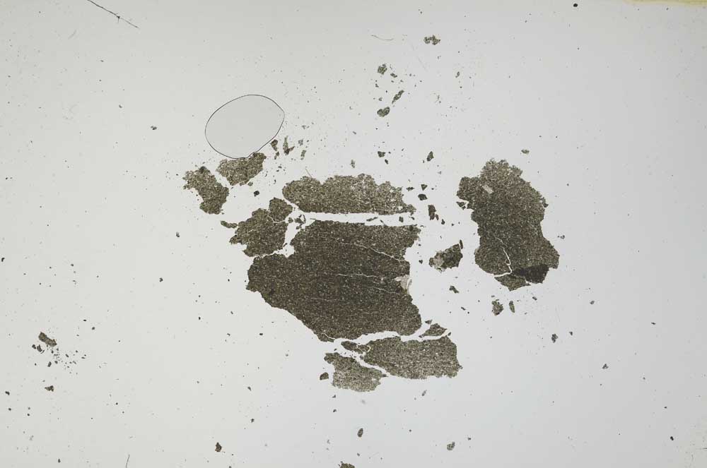 Plane Polarized, S1161