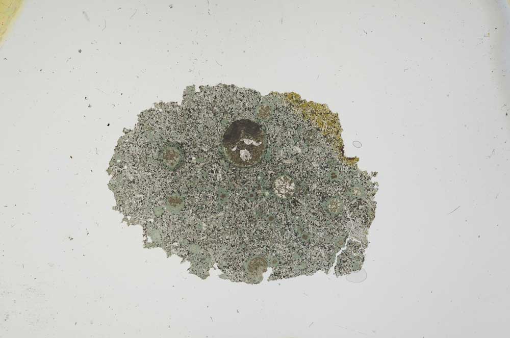 Plane Polarized, S1162