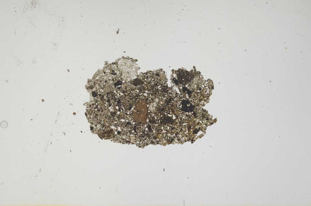 Plane Polarized, S1165