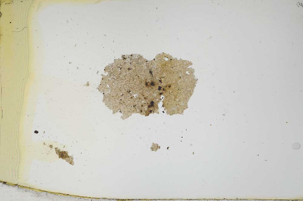 Plane Polarized, S1169