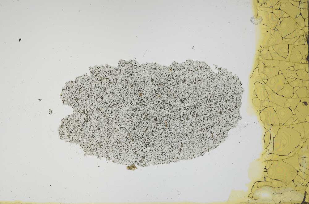Plane Polarized, S1177
