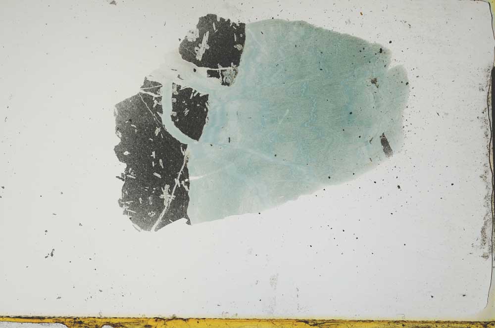 Plane Polarized, S1182