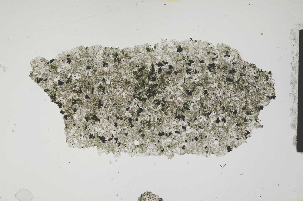Plane Polarized, S1186