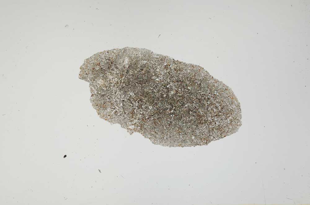 Plane Polarized, S1196