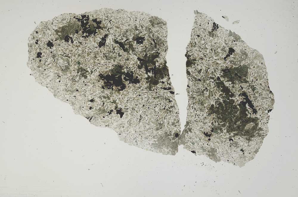 Plane Polarized, S1199