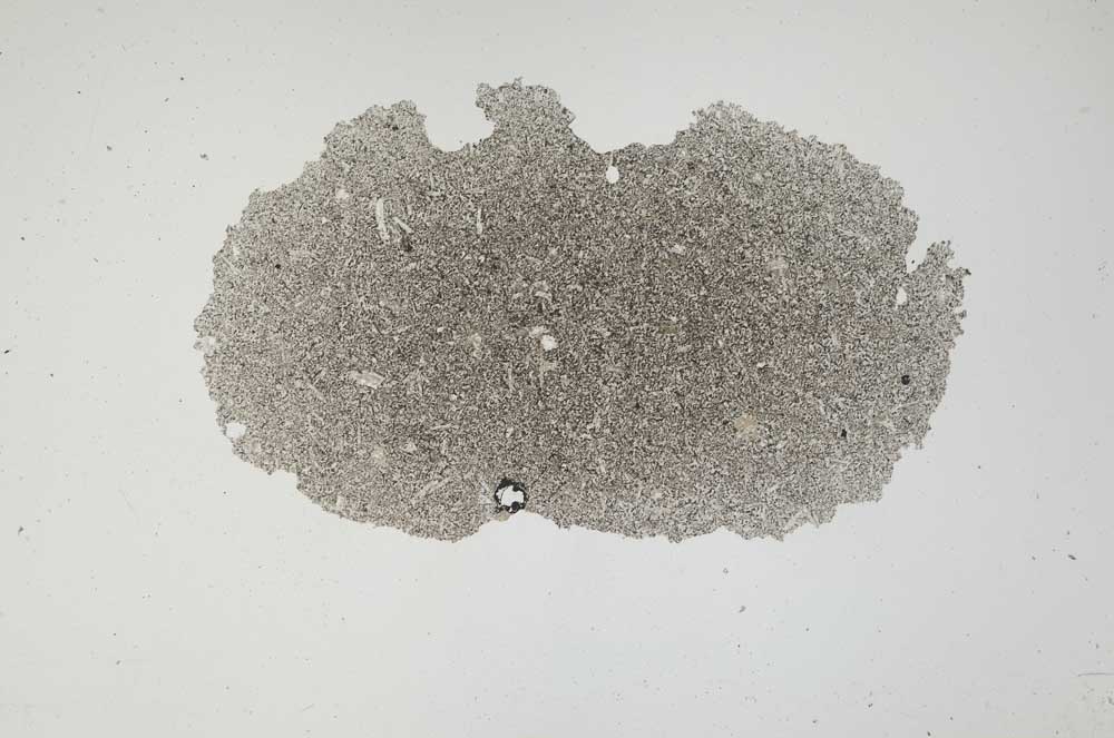 Plane Polarized, S1213