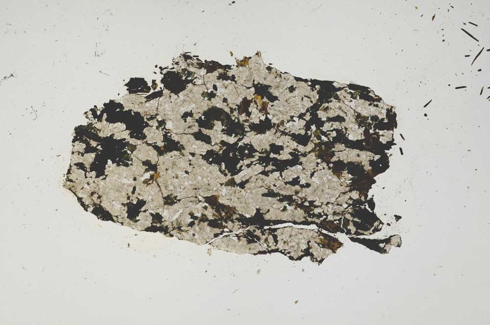 Plane Polarized, S1231