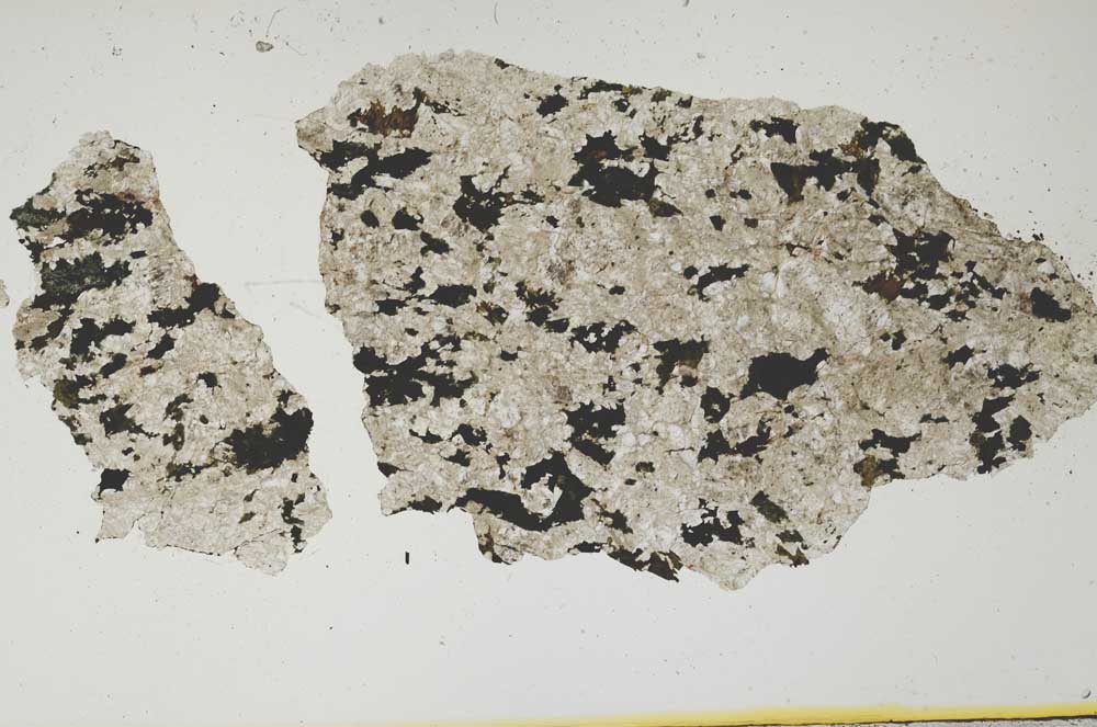 Plane Polarized, S1232