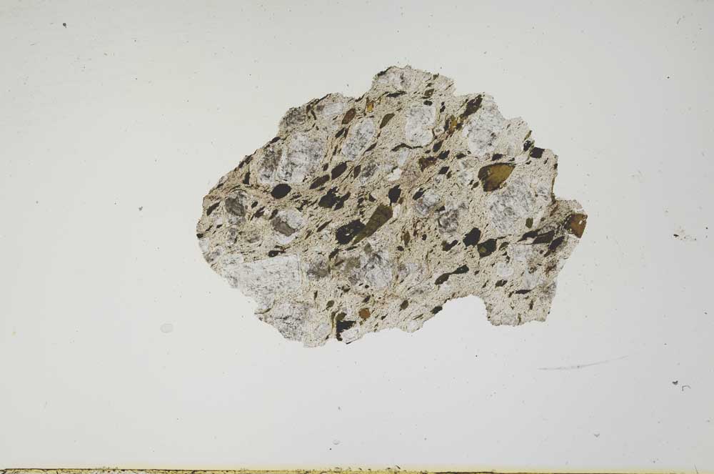 Plane Polarized, S1238