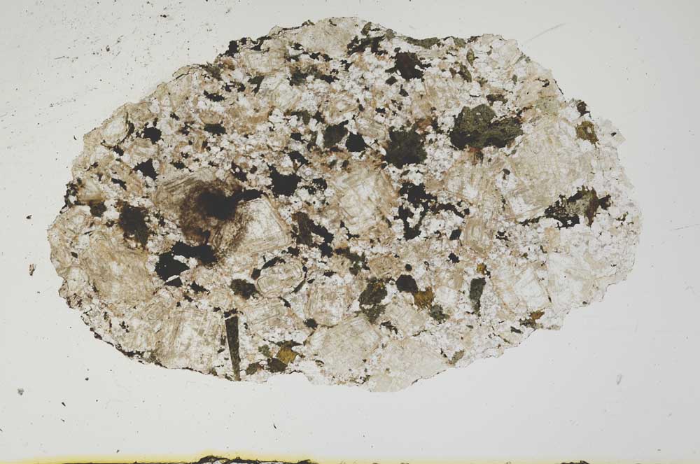 Plane Polarized, S1243