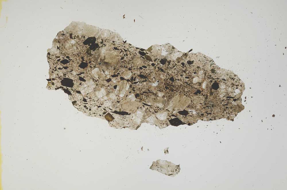 Plane Polarized, S1246