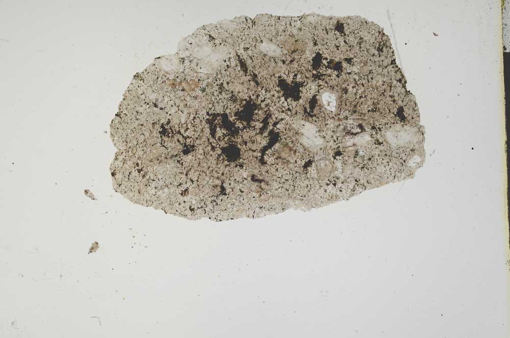 Plane Polarized, S1249