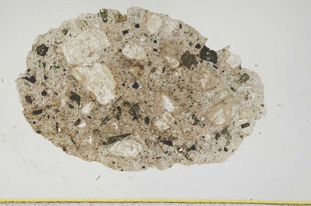 Plane Polarized, S1250