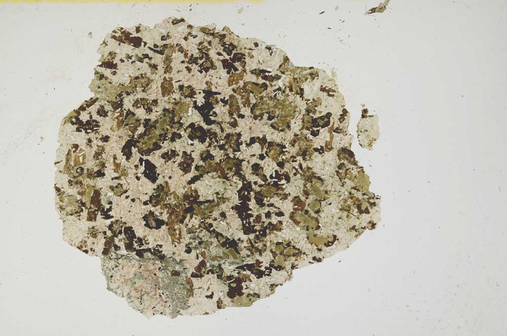 Plane Polarized, S1251