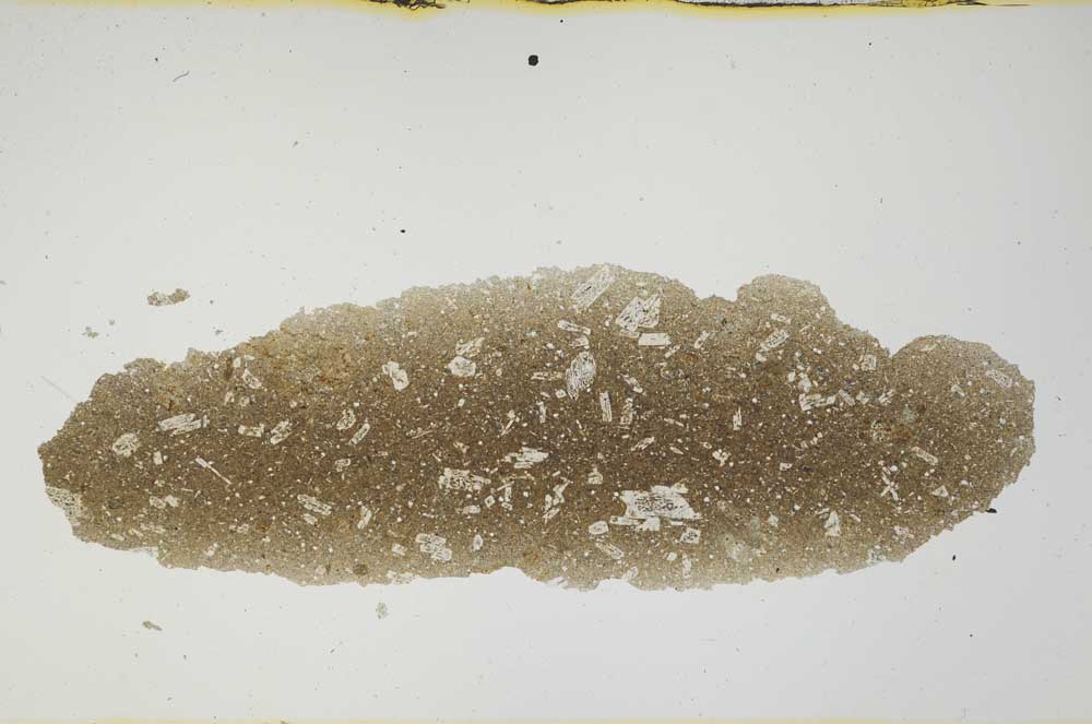 Plane Polarized, S1253