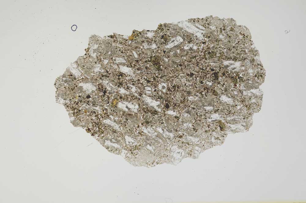 Plane Polarized, S1255