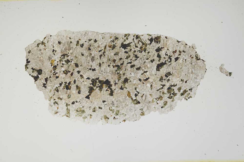 Plane Polarized, S1256